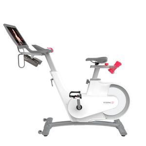 Купить Велотренажер Yesoul BV1-W PLUS в Сергаче 